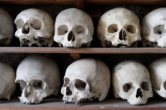 النمسا: ألمانيان يسرقان 14 جمجمة من مدفن عظام موتى في كنيسة جنوب البلاد